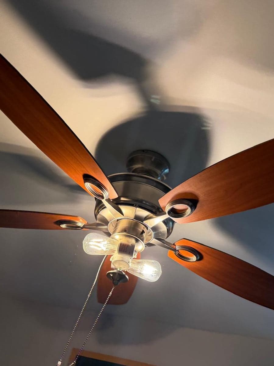 Ceiling fan blades and housing after cleaning