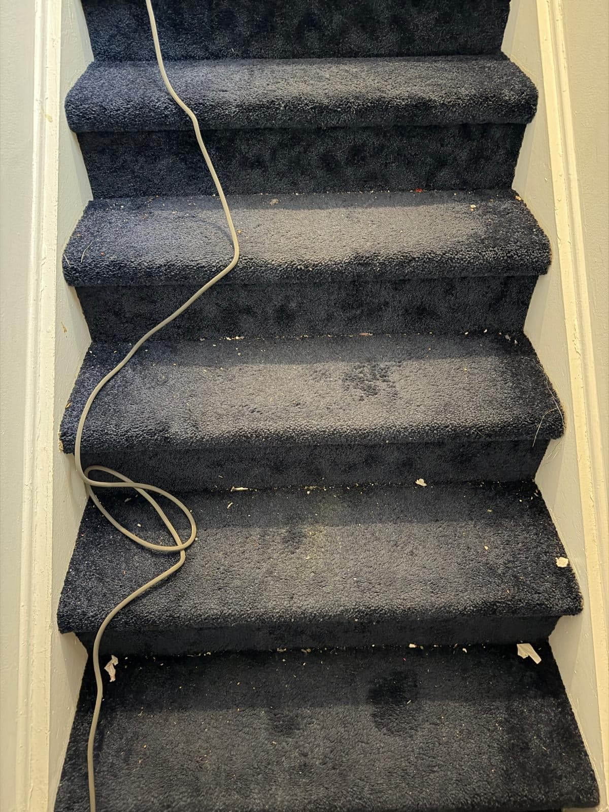 Carpeted staircase — before